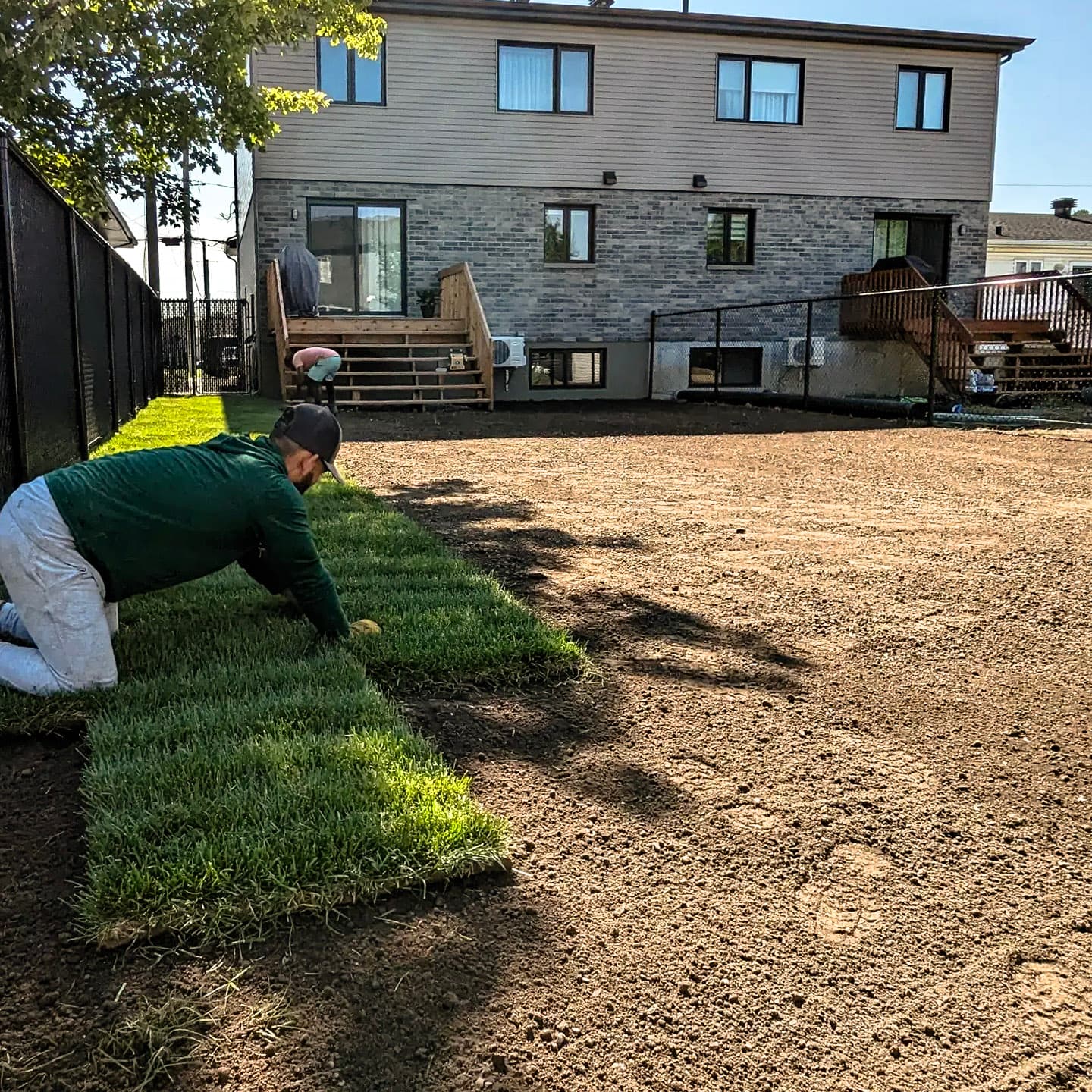 Laying sod in a residential backyard in front of a two-storey house.