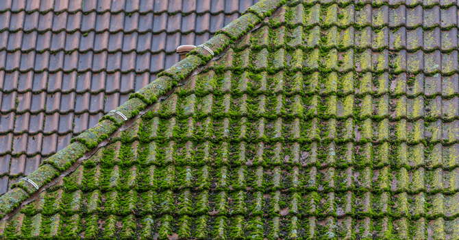 rénovez votre toiture