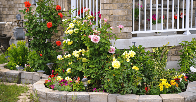 How to choose your flowers