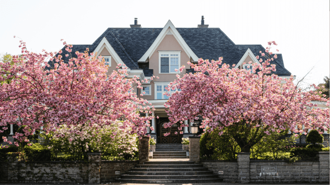 house with cherry blossoms