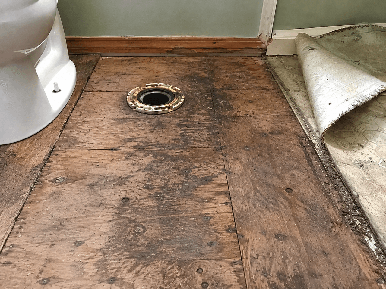 Bathroom renovation with old flooring removed, exposed plywood subfloor and visible toilet flange