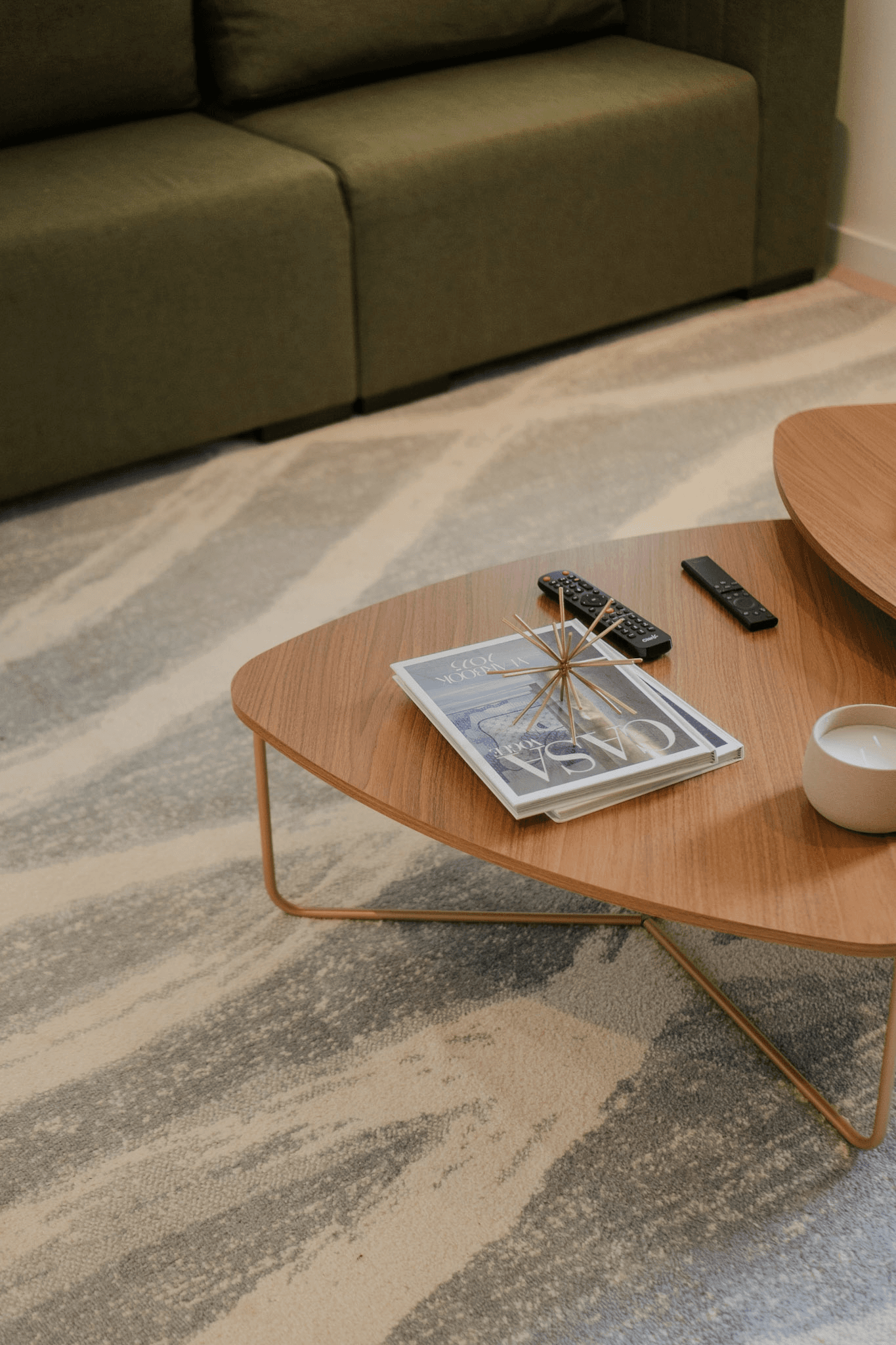 Modern living room with olive green sofa, gray and beige abstract rug, and wooden coffee tables with magazines and remote controls.