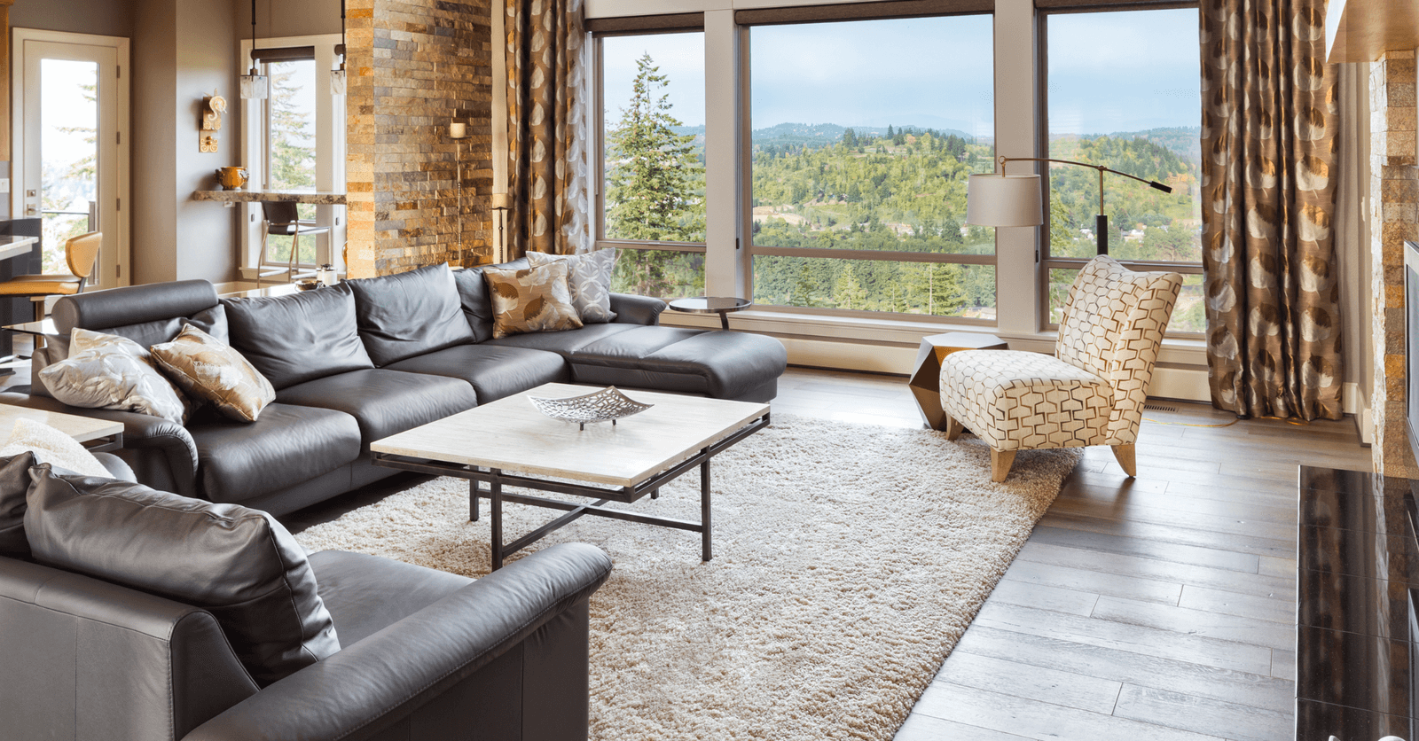 area rug in a modern living room