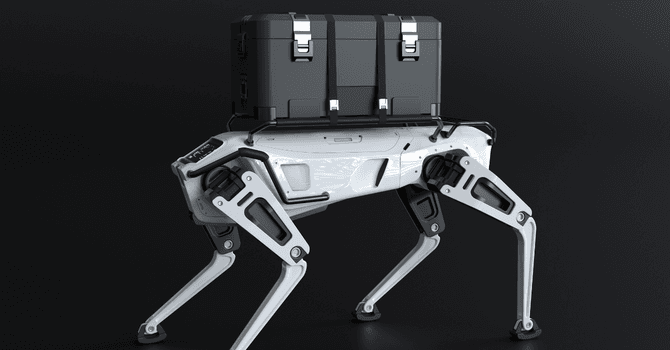 date-collecting robot dogs