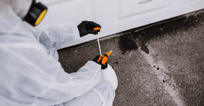 decontamination process