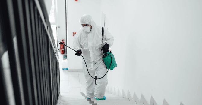 decontamination process