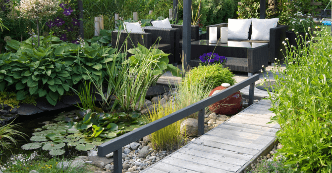Landscaping Trends & Ideas 